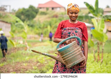  beautiful African lady with head scarf, plastic container-landscape image of Black woman in a greenfield with pretty smile-farming concept