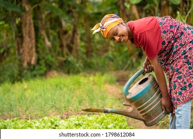  Beautiful African Lady With Head Scarf, Plastic Container-landscape Image Of Black Woman In A Greenfield With Pretty Smile-farming Concept