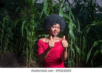 
A Beautiful African Lady Wearing A Red Dress And Afro Hair Style, Happily Doing Thumbs Up Posture, Posing For Photograph At Night On A Green Maize Farmland Or Corn Plantation Almost Due For Harvest