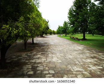 Beautiful After Rain Scene Of Fatima Jinnah Park. 