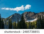 Beautiful Albion Basin in Little Cottonwood Canyon. Utah, USA 20 miles east of Salt Lake City. Home to one of the greatest wildflower blooms in the US. Bloom starts in mid July thru August.