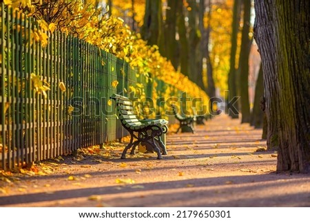 Beautiful alley in the autumn Park. Green benches near the fence and colorful yellow foliage on the bushes. Fallen leaves on the walking paths in the garden. Fall season.