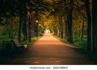 Beautiful Alley In Kadriorg Park.