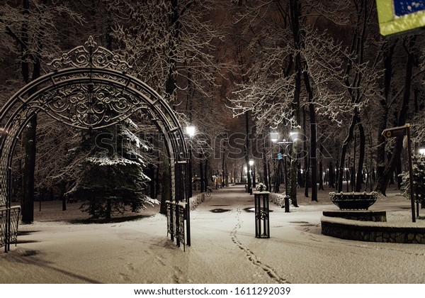 beautiful alley night\
Park in the light of lanterns in silence without people after a\
cold snap and a\
snowstorm