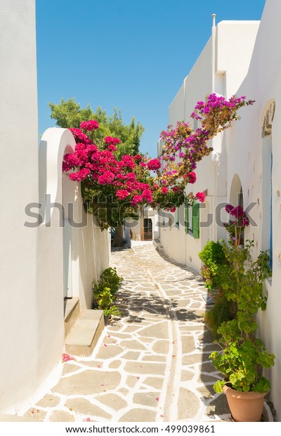 ギリシャのパロス島のプロドロモスの村にある美しい路地とピンクの花 の写真素材 今すぐ編集