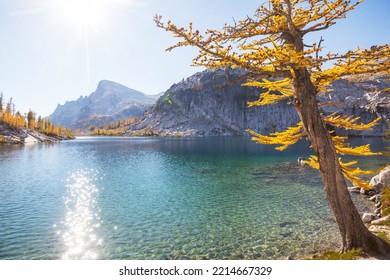 Beautiful Alpine Lakes Wilderness Area  In Washington, USA