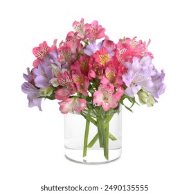 Beautiful alstroemeria flowers in glass vase isolated on white - Powered by Shutterstock