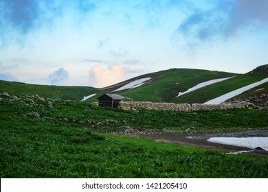 Beautiful And Amazing Askhi Plateau In Georgian Mountains. Fantastic Summer And Colors Of Lechkhumi. 