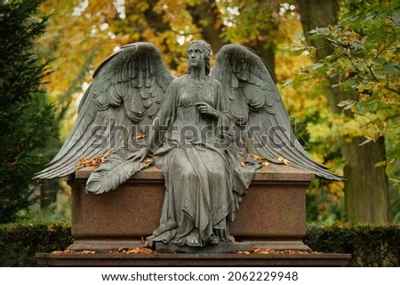 beautiful angel with spread wings on a cemetery in autumn mood