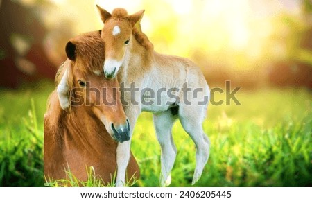 Beautiful animal family surrounding with multi color back ground 