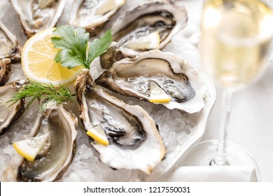 beautiful appetizer oysters two glasses wine champagne