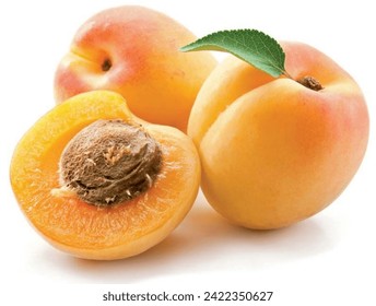 Beautiful apricot photo For designers