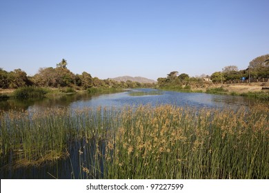 A Beautiful Aquatic Landscape With Rushes Trees Blue Sky And Hills In The Background In Gujarat India