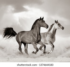 Beautiful Arabian Horse Desert Running Toned Stock Photo (Edit Now ...