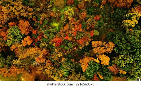 Beautiful Ariel Photography Of Fall Trees