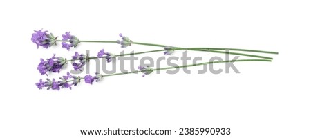 Beautiful aromatic lavender flowers isolated on white, top view