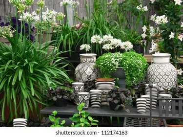 Beautiful arrangement of plants and black and white ceramics in a flower shop. - Powered by Shutterstock