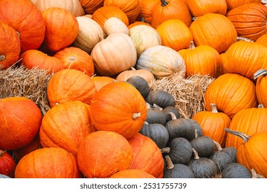 A beautiful array of pumpkins on straw with a farm backdrop. This captivating photo showcases a wide array of pumpkins, featuring different shapes, sizes, and colors, resting on a straw bed.