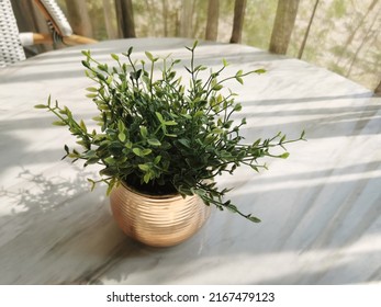 Beautiful artificial plants in flower pots on brown table,Indoor plant.Fake plant in pot on white table with sun light near windows,home decoration idea,home decoration.