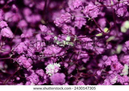 A beautiful artificial purple flowers macro shot.