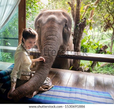 Beautiful Asia woman sit on wooden balcony and feed elephant.