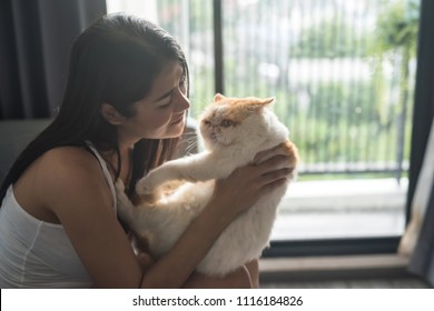 Beautiful Asian Female Owner Holding And Cuddling Cute Brown Exotic Shorthair Cat On Hands In Condo Living Room During Sunset. Happy Tan Girl Playing With Pet.