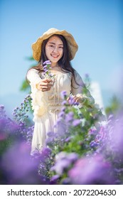 Beautiful Asian Girl Taking Pictures In A Flower Farm. Happily In Chiang Mai, Thailand