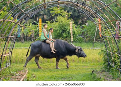 Beautiful Asian Thai females wear traditional farmer outfits and ride buffalo are happy to practice farming learn about the life of farmers. Agriculture organic farming in the countryside of Thailand. - Powered by Shutterstock