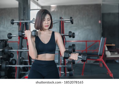 Beautiful Asian Woman Play Fitness In The Gym,Thailand Girl Has A Slim Body,Time For Exercise,People Love Heath,Stretching Body Before Workout,Sport Woman Warm Up Body,push Up With Dumbell