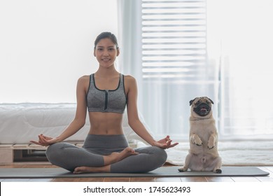 Beautiful Asian woman practice yoga lotus pose with dog pug breed enjoy and relax with yoga at home,Recreation Exercise with Dog ,Wellness woman breathing and meditation with yoga and dog small pet - Powered by Shutterstock