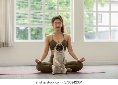 Beautiful Asian woman practice yoga lotus pose with dog pug breed enjoy and relax with yoga in living room at home,Recreation Exercise with Dog at home Concept