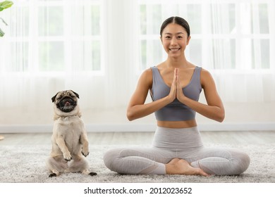 Beautiful Asian woman practice yoga lotus pose with dog pug breed enjoy and relax with yoga at home,Recreation Exercise with Dog ,Wellness woman breathing and meditation with yoga and dog small pet - Powered by Shutterstock