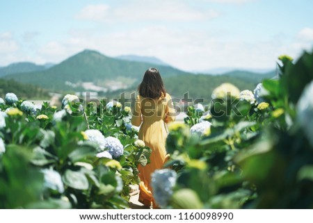 Beautiful Asian Woman in yellow dress walk in The Hydrangea Flowers Garden.