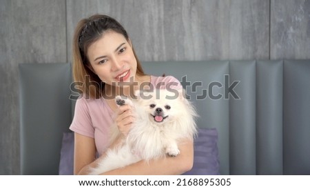 Beautiful Asian young woman enjoy playing with her pet, a Pomeranian, on the bed. Smart Pomeranian dog coming to greeting her owner on the bed in morning.