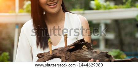 Beautiful Asian Young Woman white short dress pick up small piece of Great spice Idian Fusion food on wooden log bark tree in restaurant, feel smile and happy enjoy eating time.