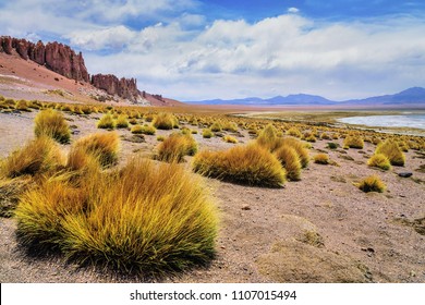 Beautiful Atacama Desert