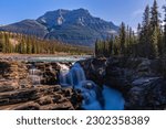 Beautiful Athabasca Water Fall in Jasper