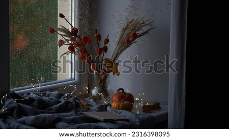 Beautiful atmospheric photograph of autumn mood.Vase with branches of orange physalis, pumpkins,light garland,blanket and book on windowsill near window wet from rain.Autumn, fall, hygge home decor
