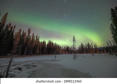 Beautiful aurora borealis band seen over a frozen lake in fall, autumn season with stars, woods, forest spruce trees in the Canadian wilderness.