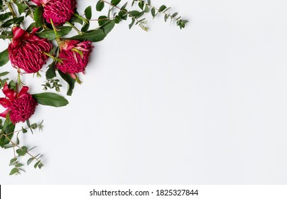 Beautiful Australian Native Red Waratah Flowers And Eucalyptus Leaves, Creating A Floral Border On A Rustic White Background. Space For Copy.