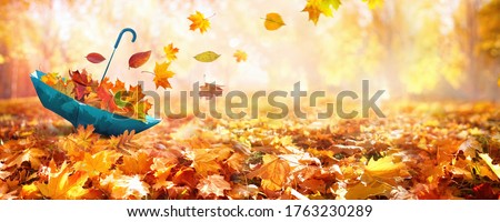 Beautiful autumn background landscape. Carpet of fallen orange autumn leaves in park and blue umbrella. Leaves fly in wind in sunlight. Concept of Golden autumn.