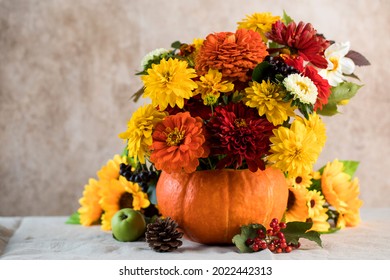 1,597 Dahlia In Pumpkin Images, Stock Photos & Vectors | Shutterstock