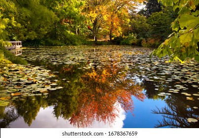 Van Dusen Gardens Images Stock Photos Vectors Shutterstock