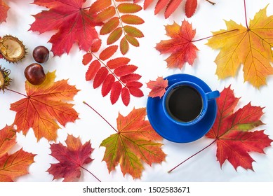 Beautiful autumn composition with cup of coffee and multicolred maple leaves on the white background top view