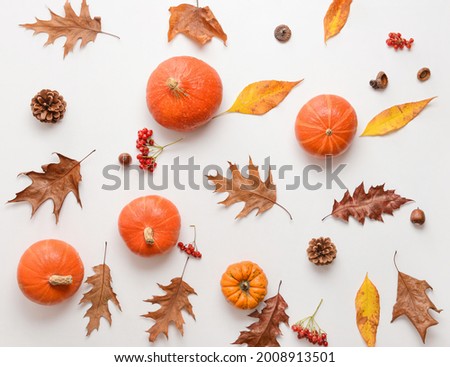 Similar – Autumn still life with pumpkin and leaves