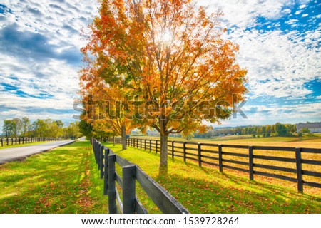 Beautiful autumn country landscape with road, colorful tree and pastures of horse farm.