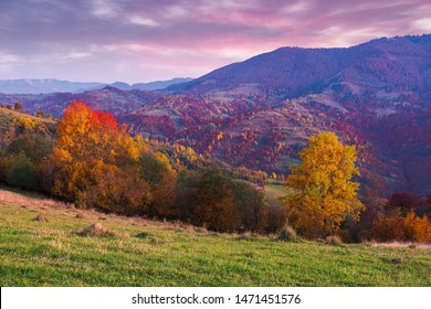 Beautiful Autumn Countryside Landscape Dusk Trees Stock Photo ...