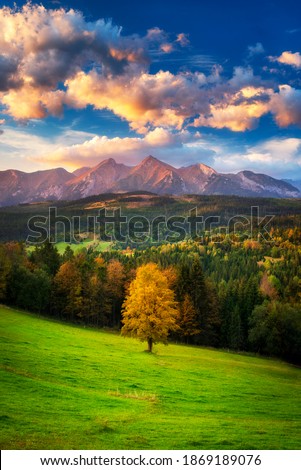 A beautiful autumn evening on a pasture under rocky mountains with a wild forest, a beautiful yellow tree in the middle of a meadow and a colorful dramatic sky. High tatras NP, Poland, Slovakia
