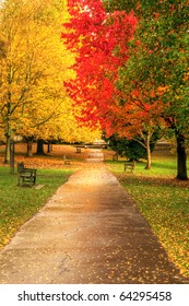 Beautiful Autumn Fall Forest Scene With Vibrant Colors And Excellent Detail