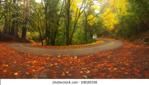 Beautiful autumn foliage around Old La Honda road in Palo Alto, California in the Santa Cruz Mountains